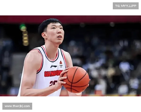 周琦加盟新疆的流程解析及关键注意事项详解